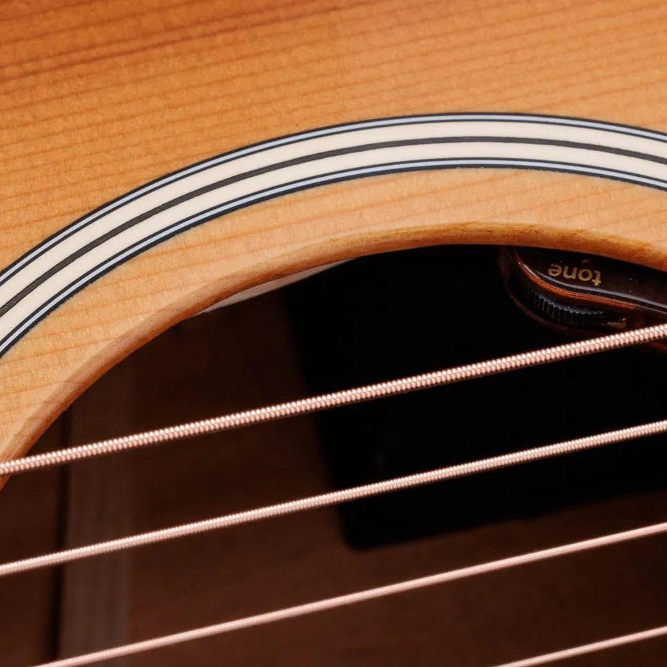 Đàn Guitar Acoustic Taylor Gold Label 514e