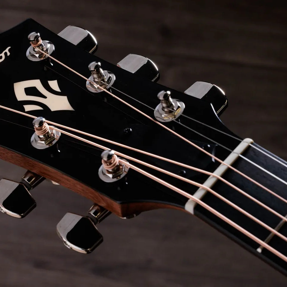 Đàn Guitar Acoustic Taylor Gold Label 514e
