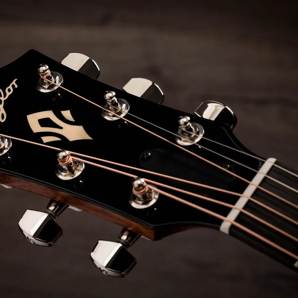 Đàn Guitar Acoustic Taylor Gold Label 517e