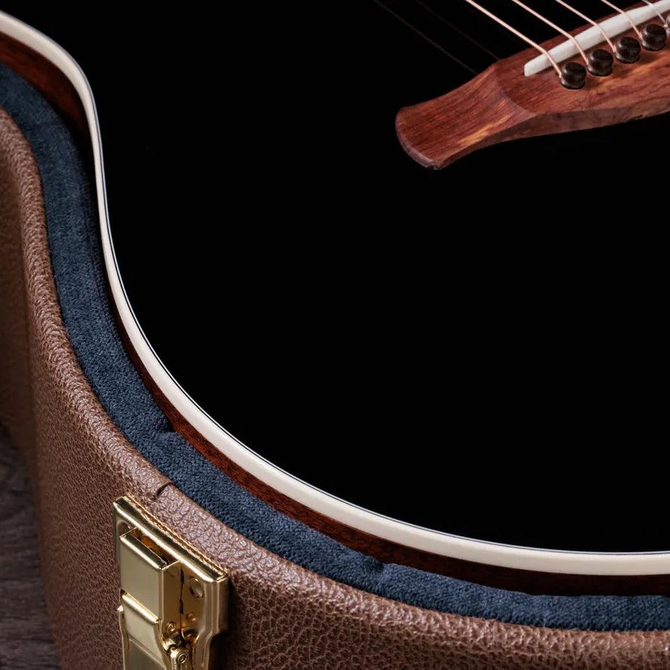 Đàn Guitar Acoustic Taylor Gold Label 517e