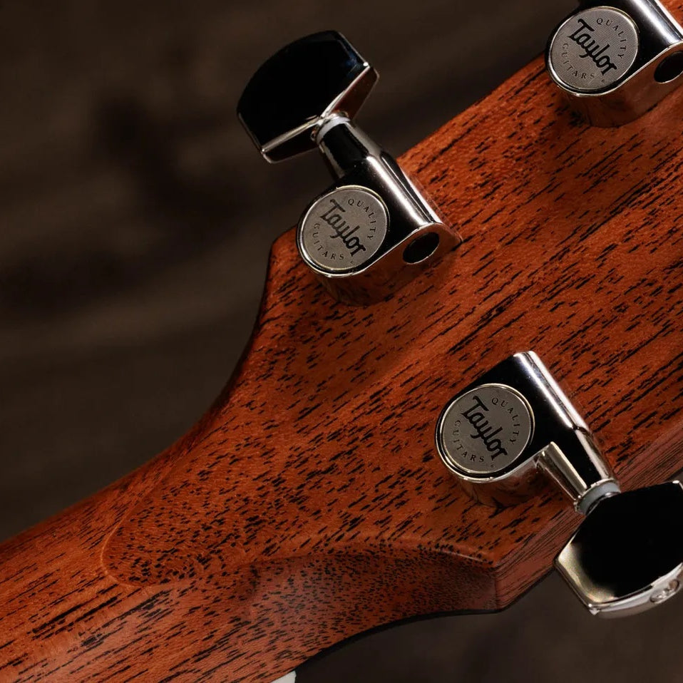 Đàn Guitar Acoustic Taylor Gold Label 517e