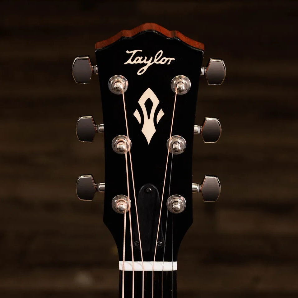 Đàn Guitar Acoustic Taylor Gold Label 517e