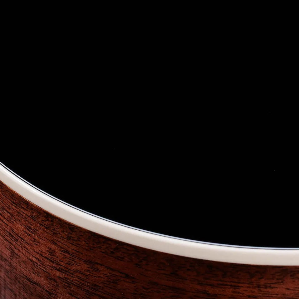 Đàn Guitar Acoustic Taylor Gold Label 517e