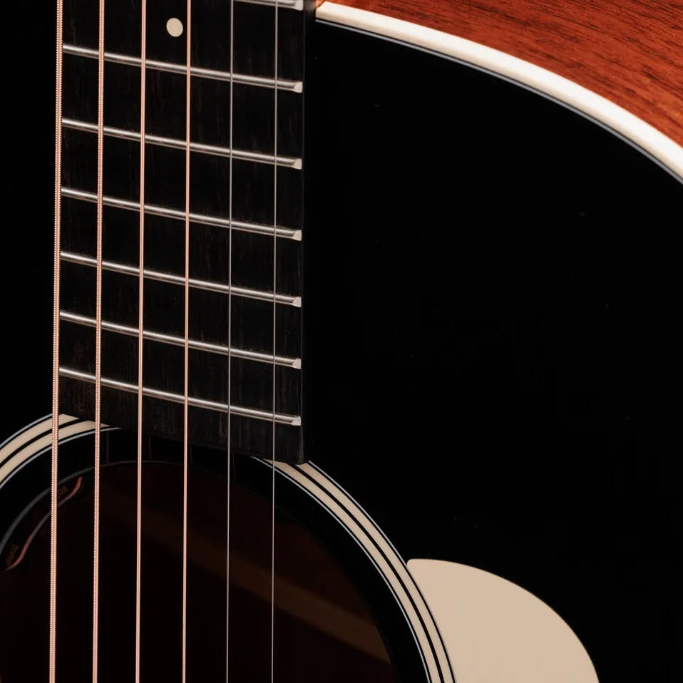 Đàn Guitar Acoustic Taylor Gold Label 517e