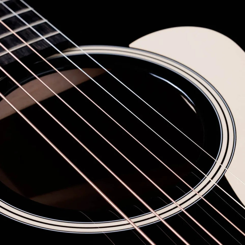 Đàn Guitar Acoustic Taylor Gold Label 517e