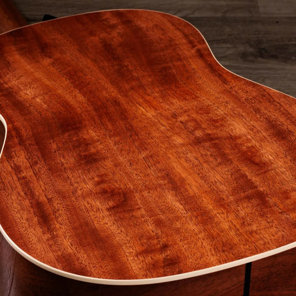 Đàn Guitar Acoustic Taylor Gold Label 517e