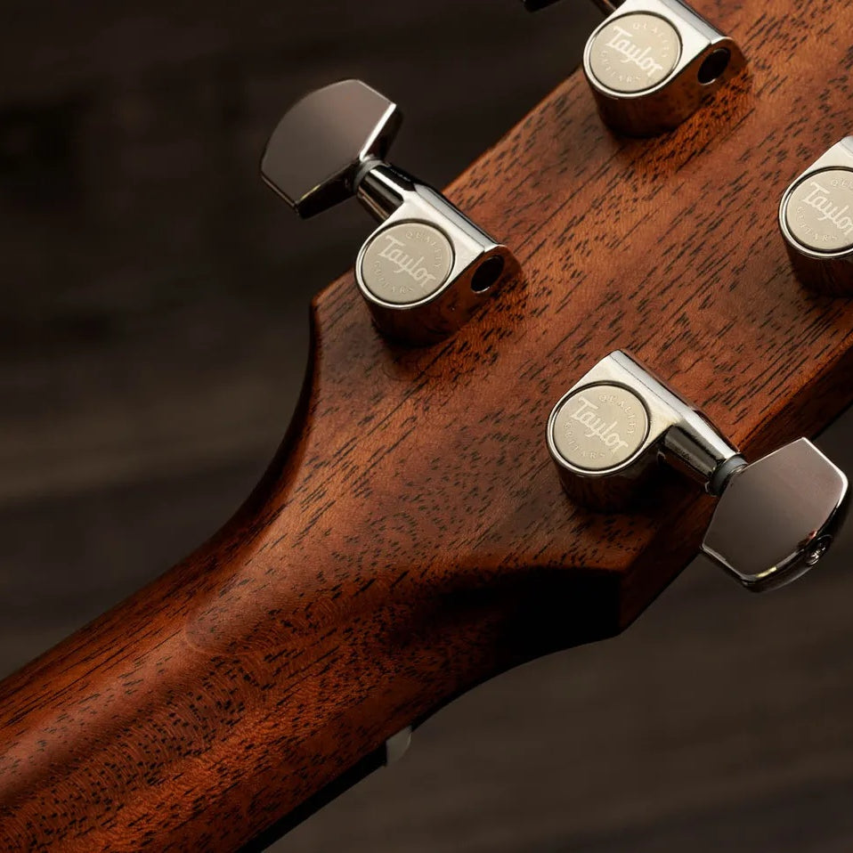 Đàn Guitar Acoustic Taylor Gold Label 517e