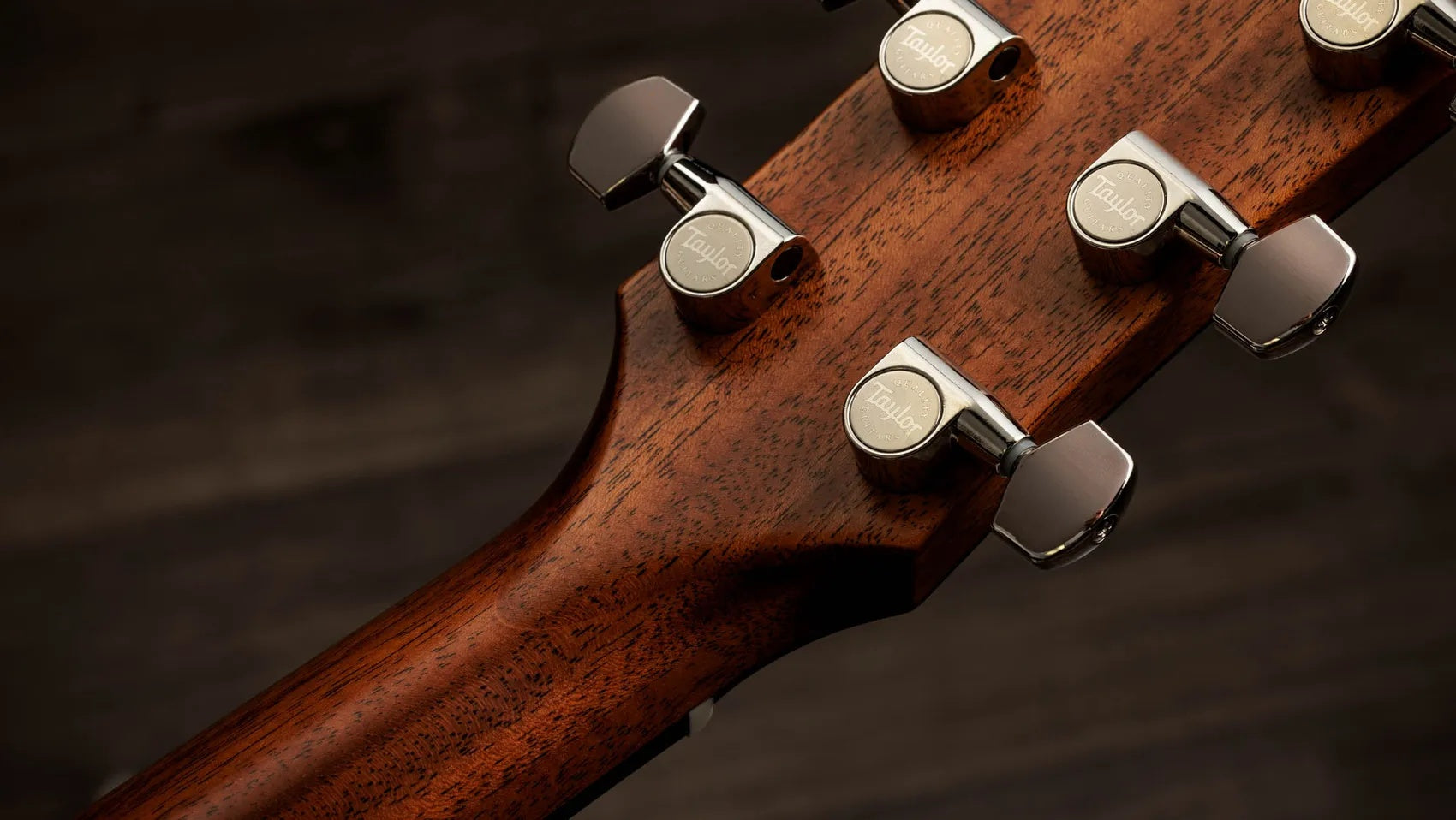 Đàn Guitar Acoustic Taylor Gold Label 517e