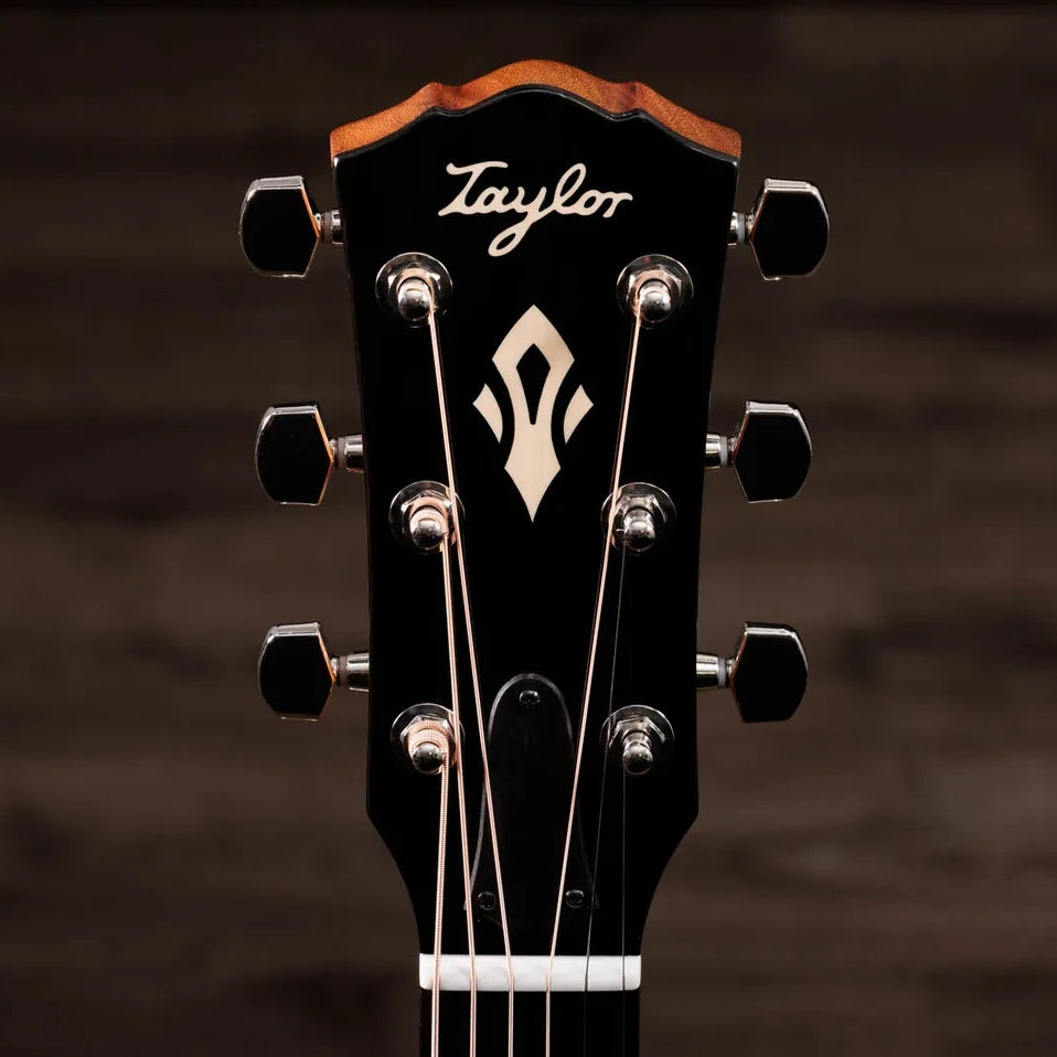 Đàn Guitar Acoustic Taylor Gold Label 517e