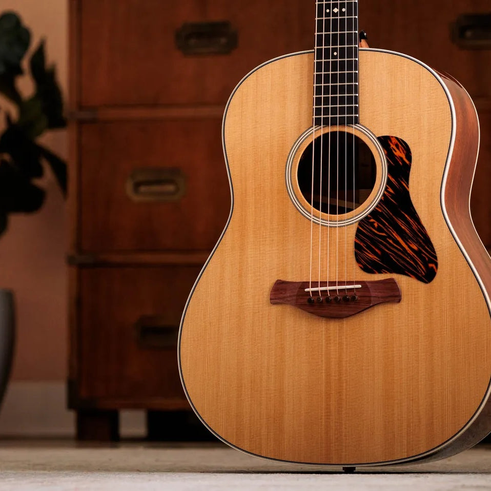 Đàn Guitar Acoustic Taylor Gold Label 517e
