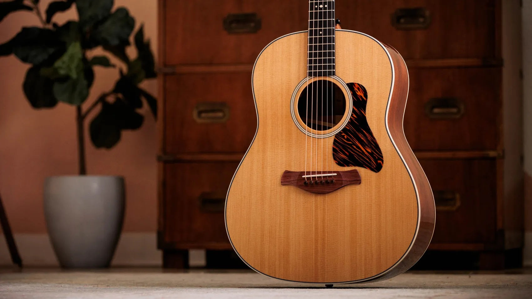 Đàn Guitar Acoustic Taylor Gold Label 517e