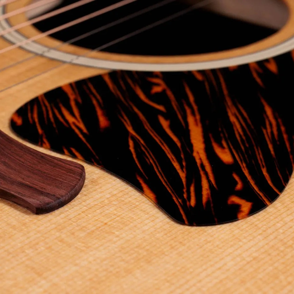 Đàn Guitar Acoustic Taylor Gold Label 517e