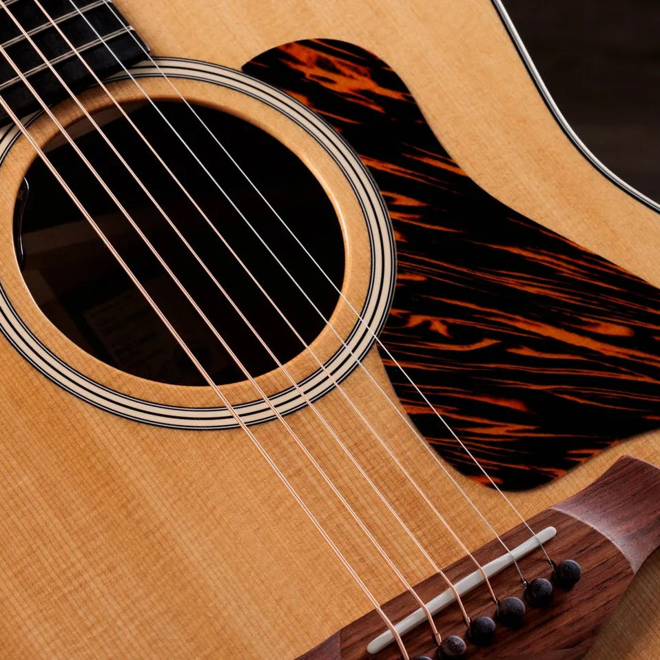 Đàn Guitar Acoustic Taylor Gold Label 517e