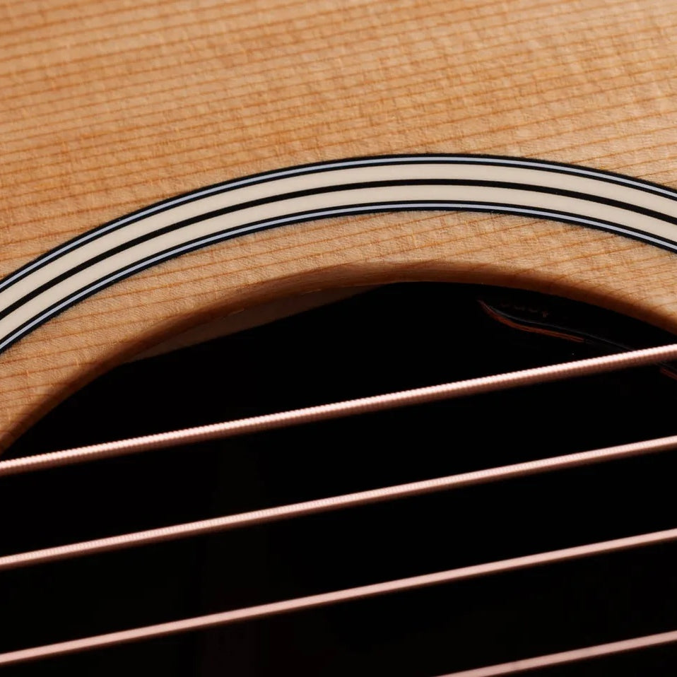 Đàn Guitar Acoustic Taylor Gold Label 517e