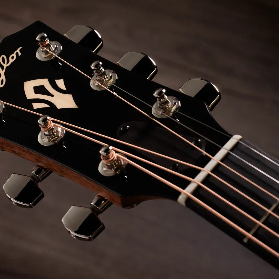 Đàn Guitar Acoustic Taylor Gold Label 517e