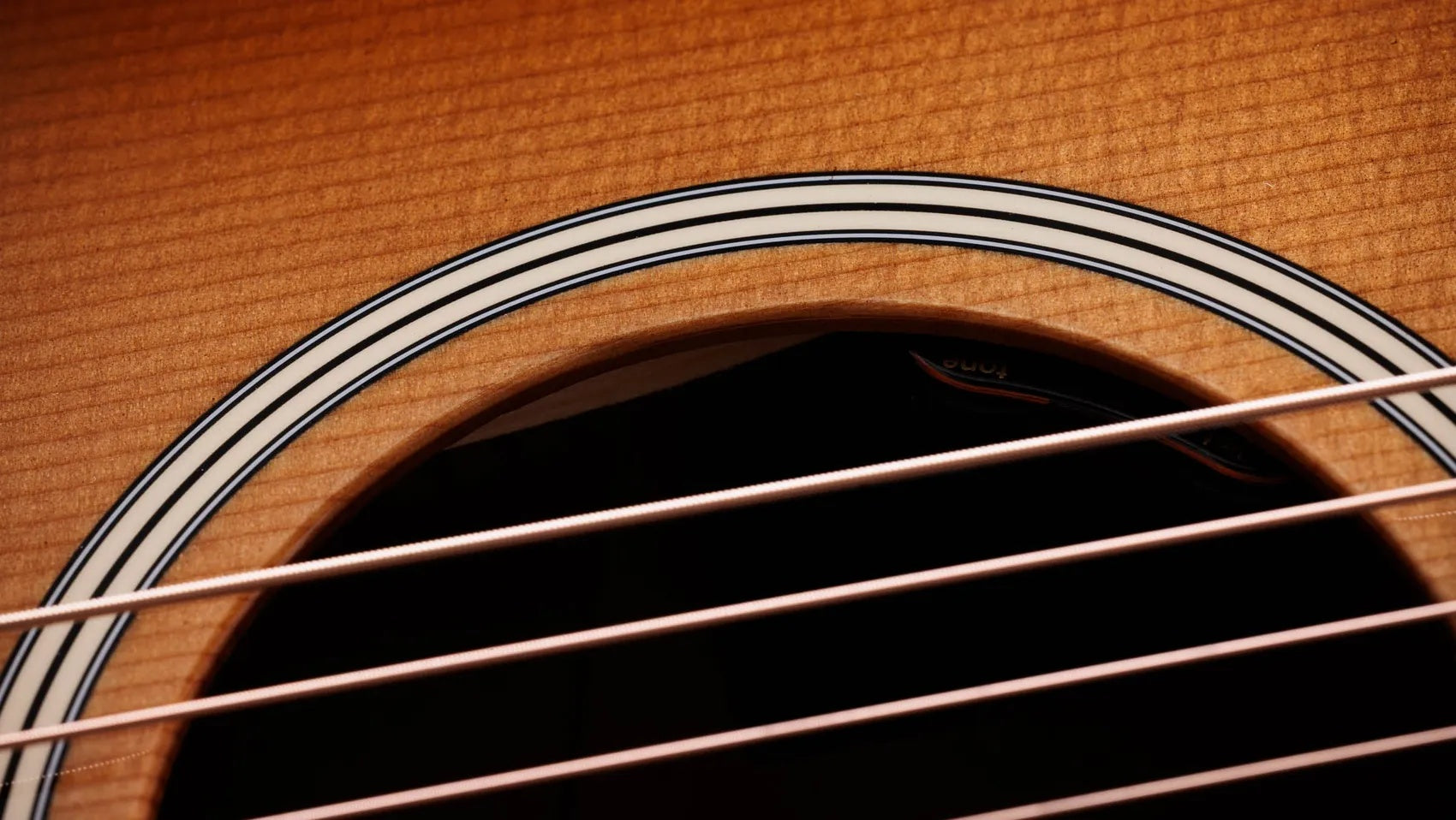 Đàn Guitar Acoustic Taylor Gold Label 517e