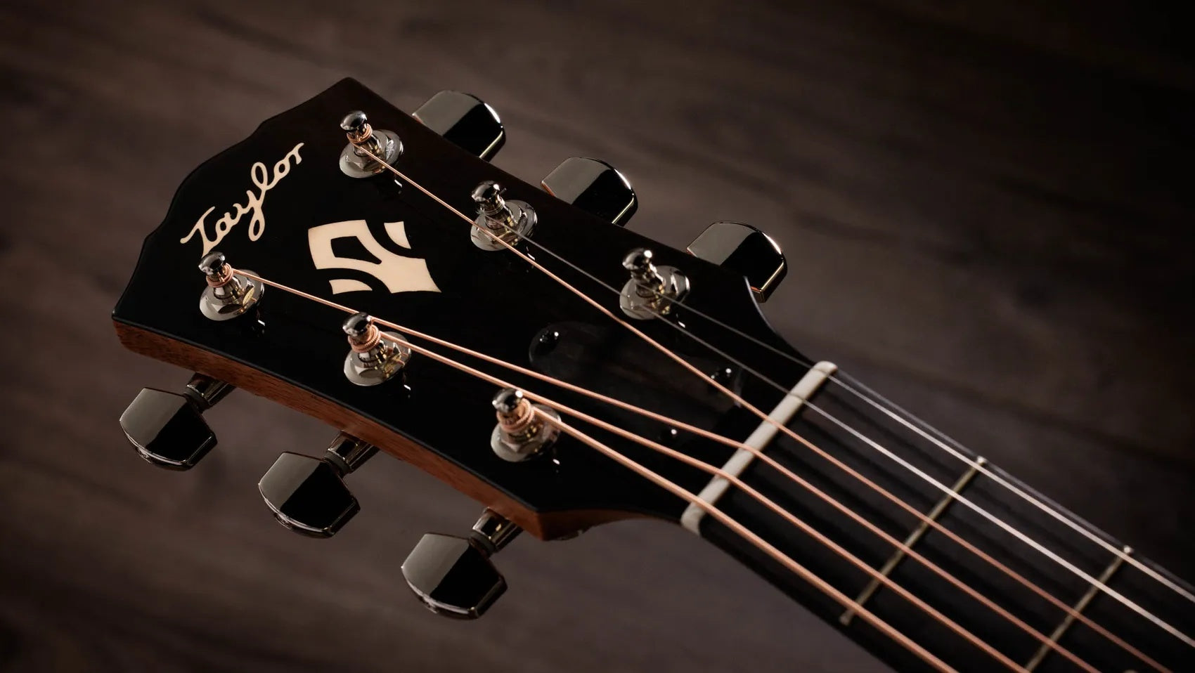Đàn Guitar Acoustic Taylor Gold Label 517e