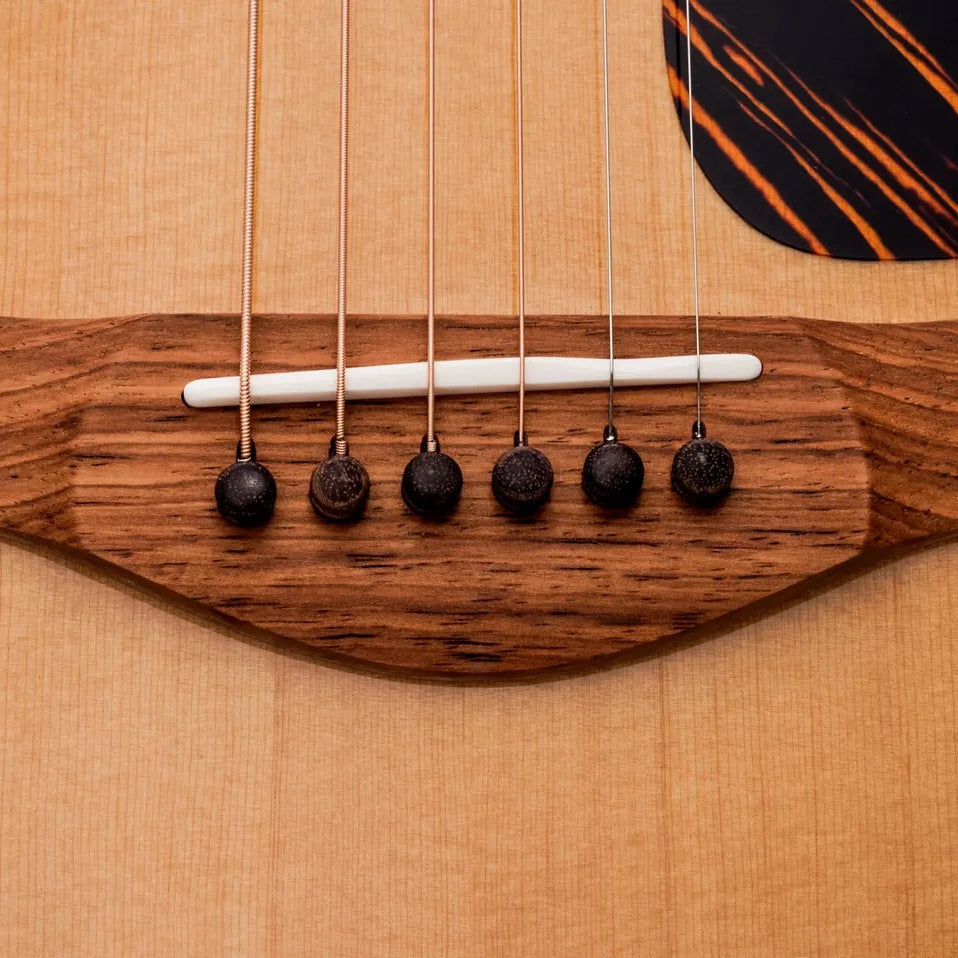 Đàn Guitar Acoustic Taylor Gold Label 517e