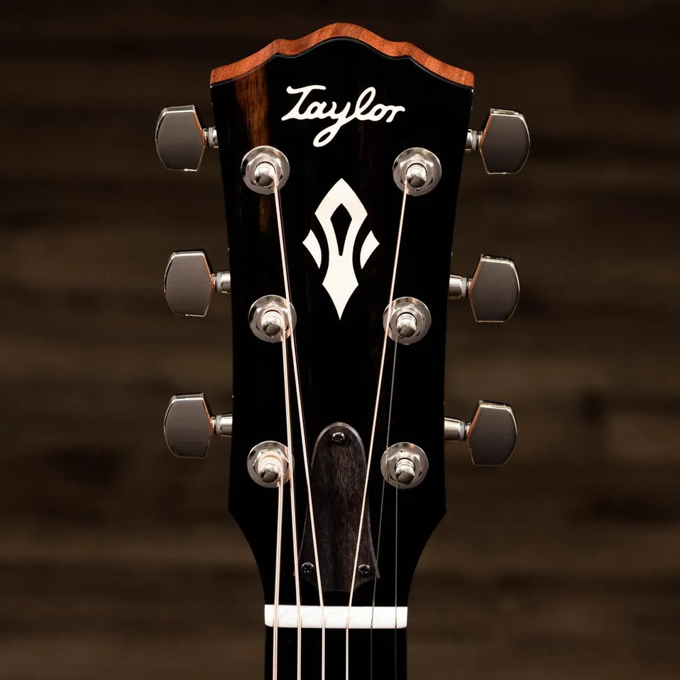Đàn Guitar Acoustic Taylor Gold Label 517e