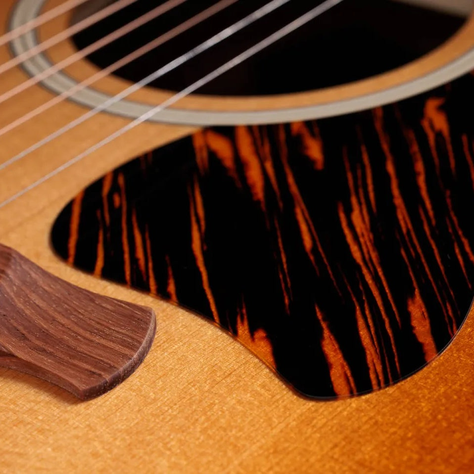 Đàn Guitar Acoustic Taylor Gold Label 517e