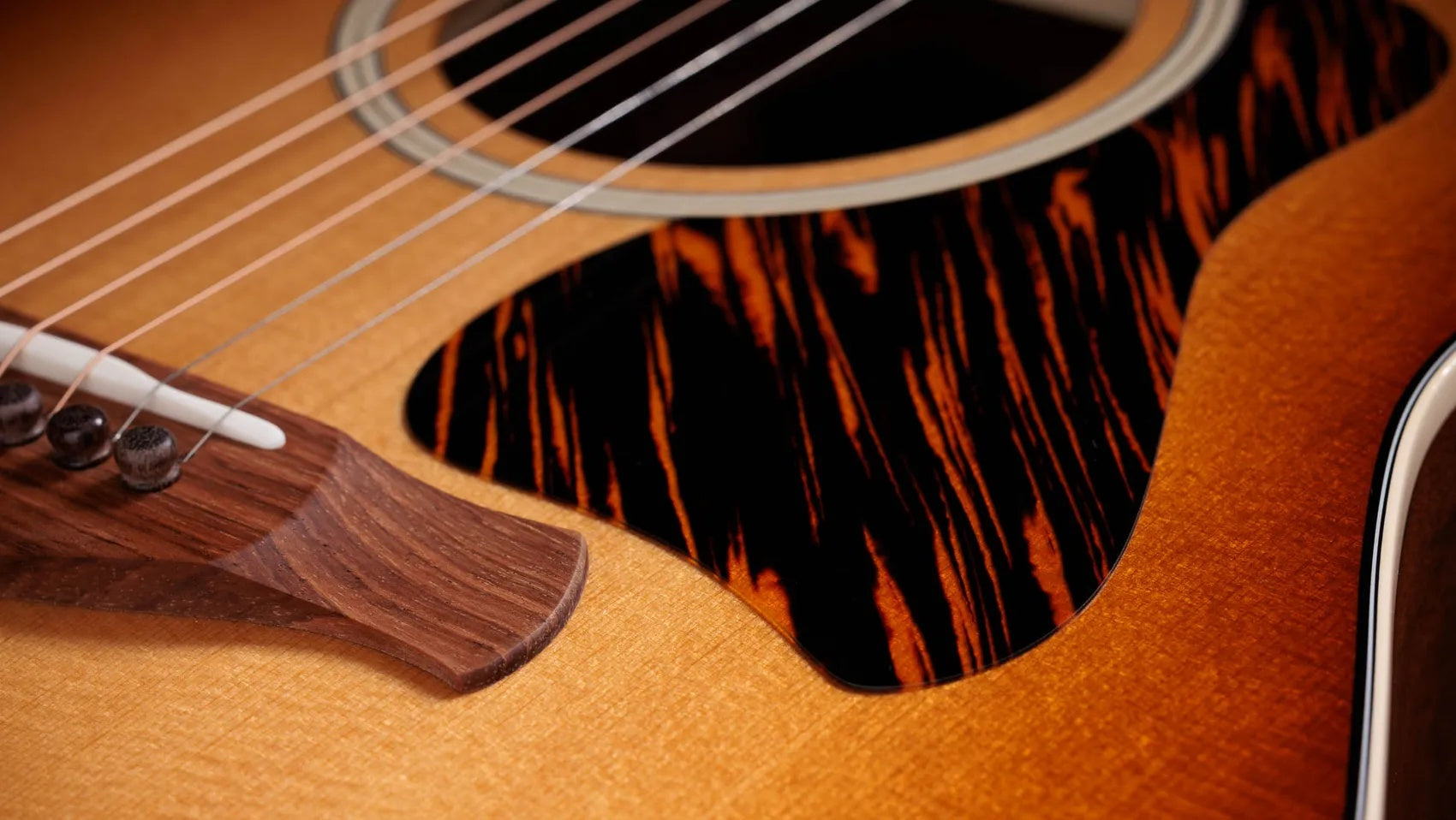 Đàn Guitar Acoustic Taylor Gold Label 517e