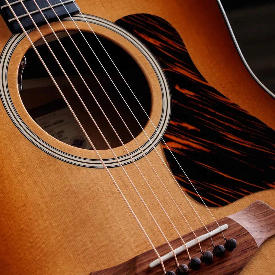 Đàn Guitar Acoustic Taylor Gold Label 517e