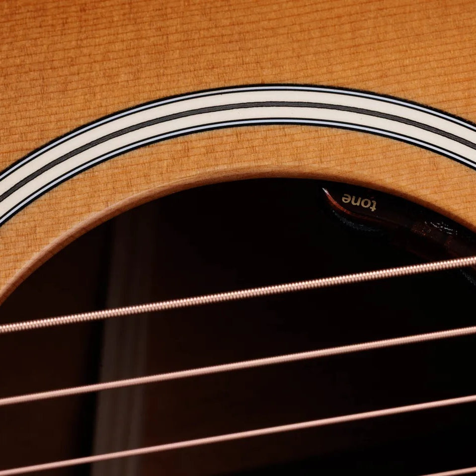 Đàn Guitar Acoustic Taylor Gold Label 517e