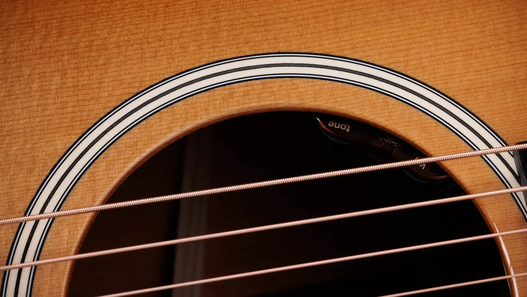 Đàn Guitar Acoustic Taylor Gold Label 517e
