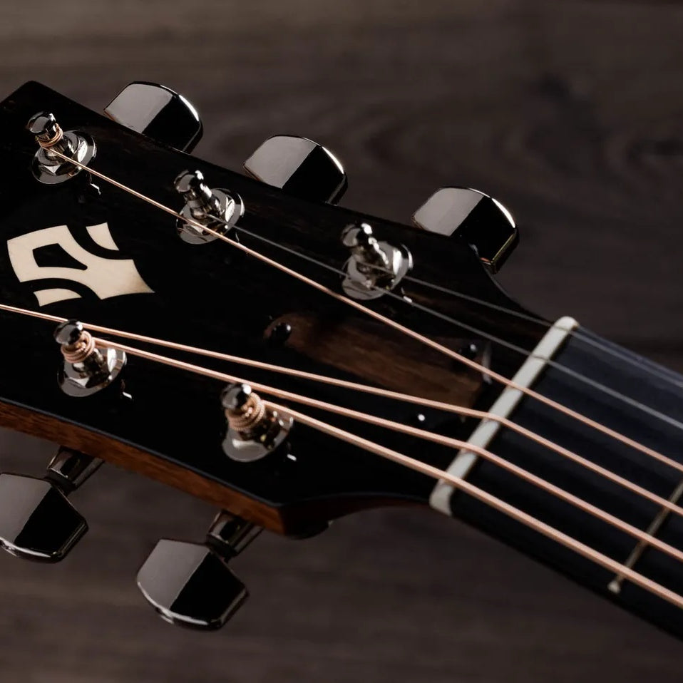Đàn Guitar Acoustic Taylor Gold Label 517e