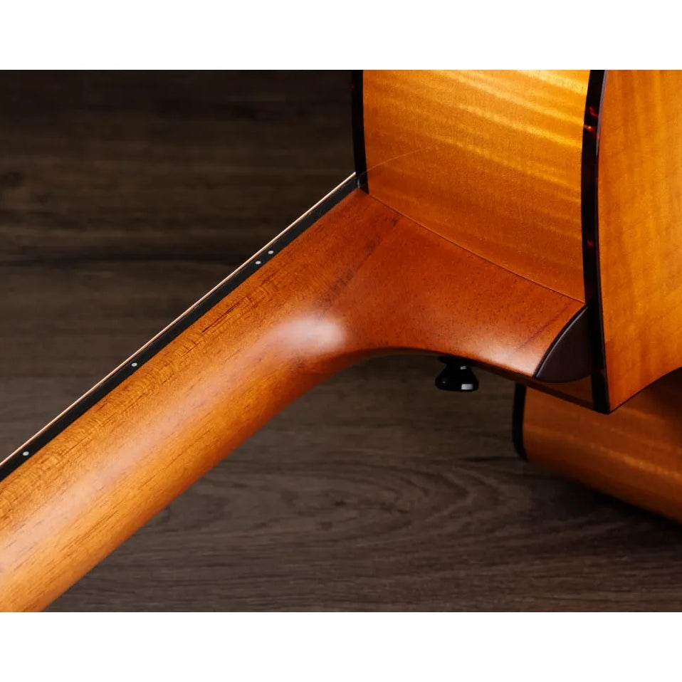 Đàn Guitar Acoustic Taylor Next Generation 614ce - Antique Blond