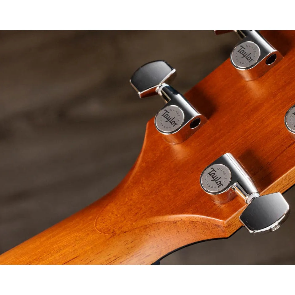 Đàn Guitar Acoustic Taylor Next Generation 614ce - Antique Blond