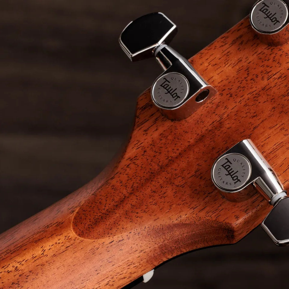 Đàn Guitar Acoustic Taylor Gold Label 710e - Natural