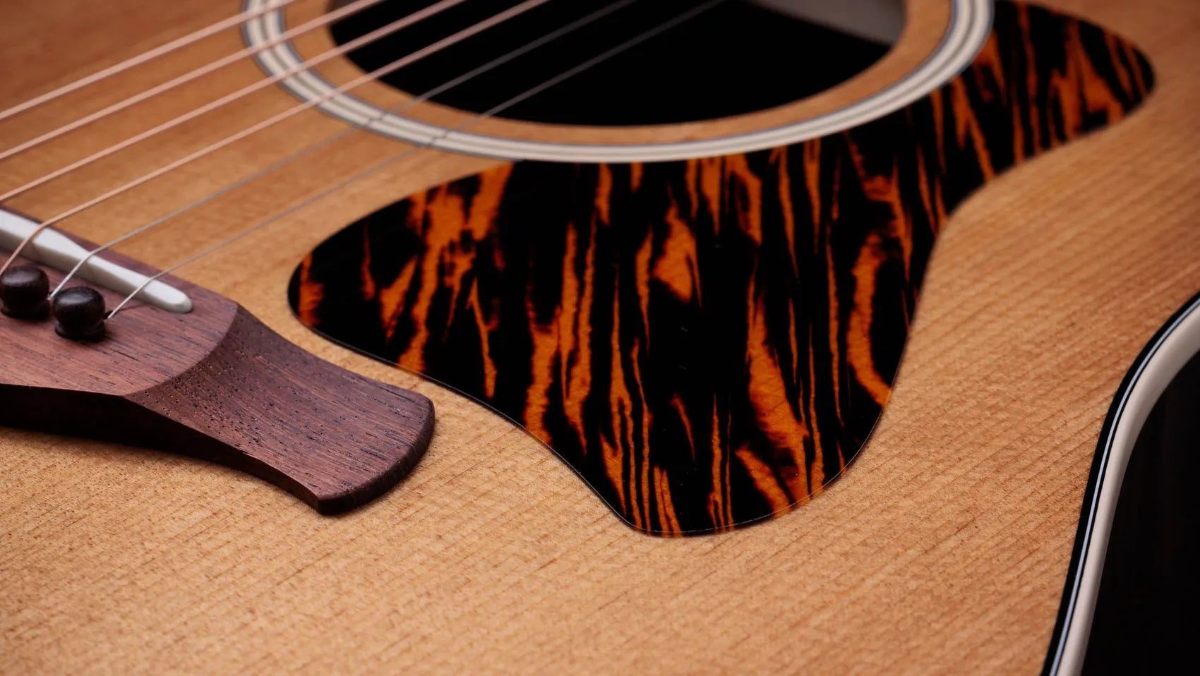 Đàn Guitar Acoustic Taylor Gold Label 710e - Natural