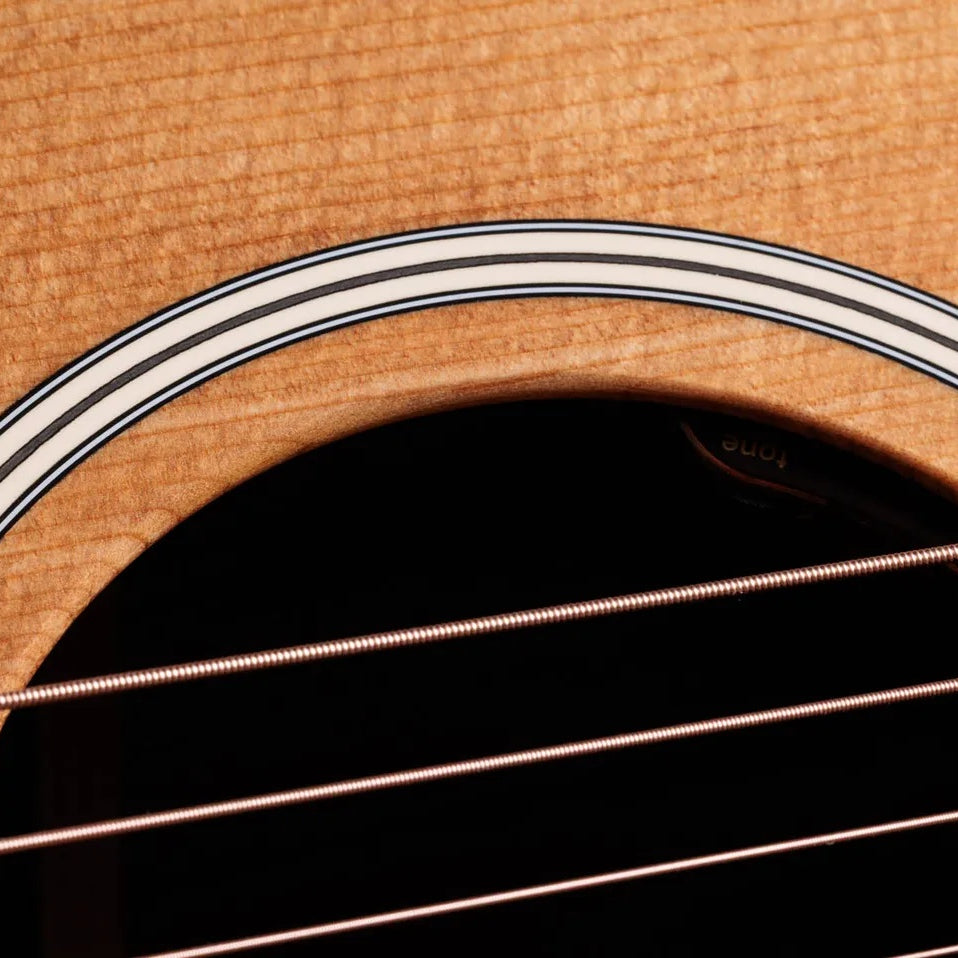Đàn Guitar Acoustic Taylor Gold Label 710e - Natural