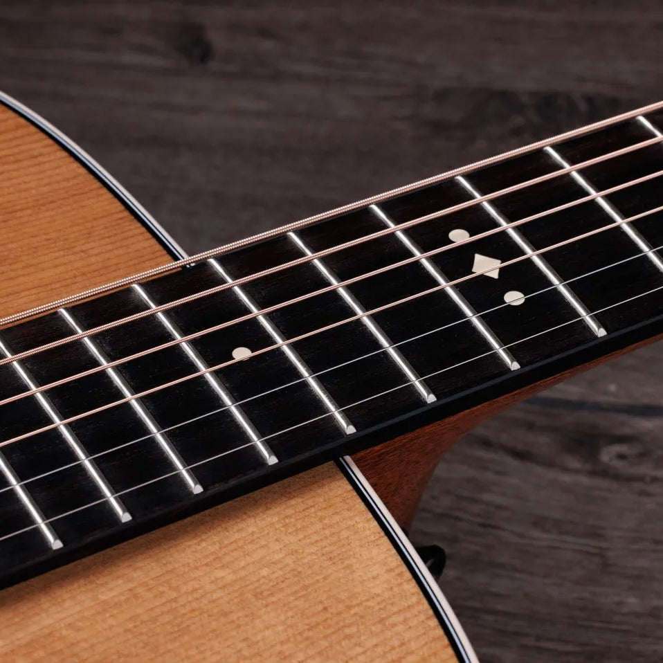 Đàn Guitar Acoustic Taylor Gold Label 710e - Natural