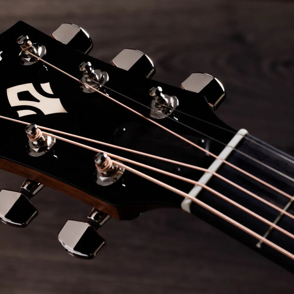 Đàn Guitar Acoustic Taylor Gold Label 710e - Natural