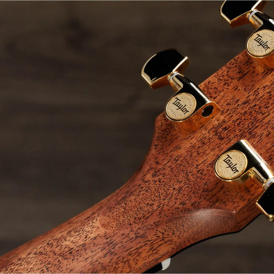 Đàn Guitar Acoustic Taylor Gold Label 710e Special Edition - Nashville Burst