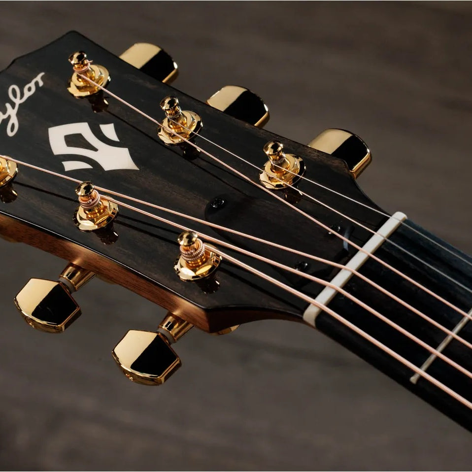 Đàn Guitar Acoustic Taylor Gold Label 710e Special Edition - Nashville Burst