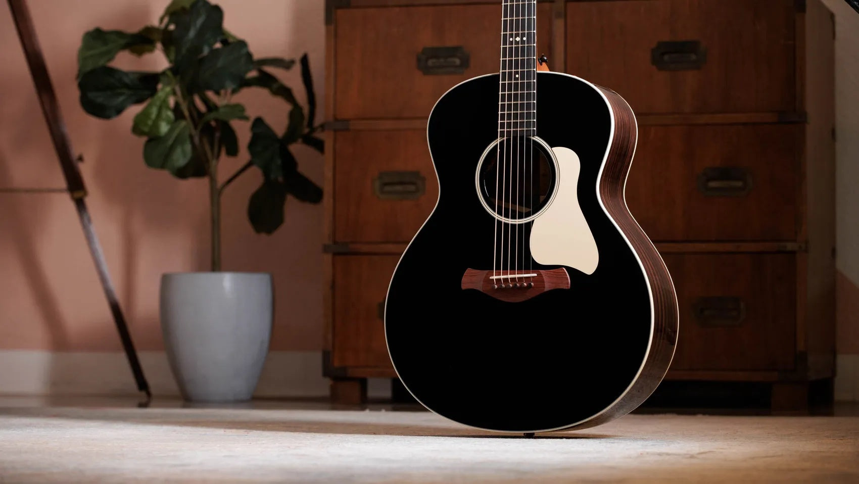 Đàn Guitar Acoustic Taylor Gold Label 714e