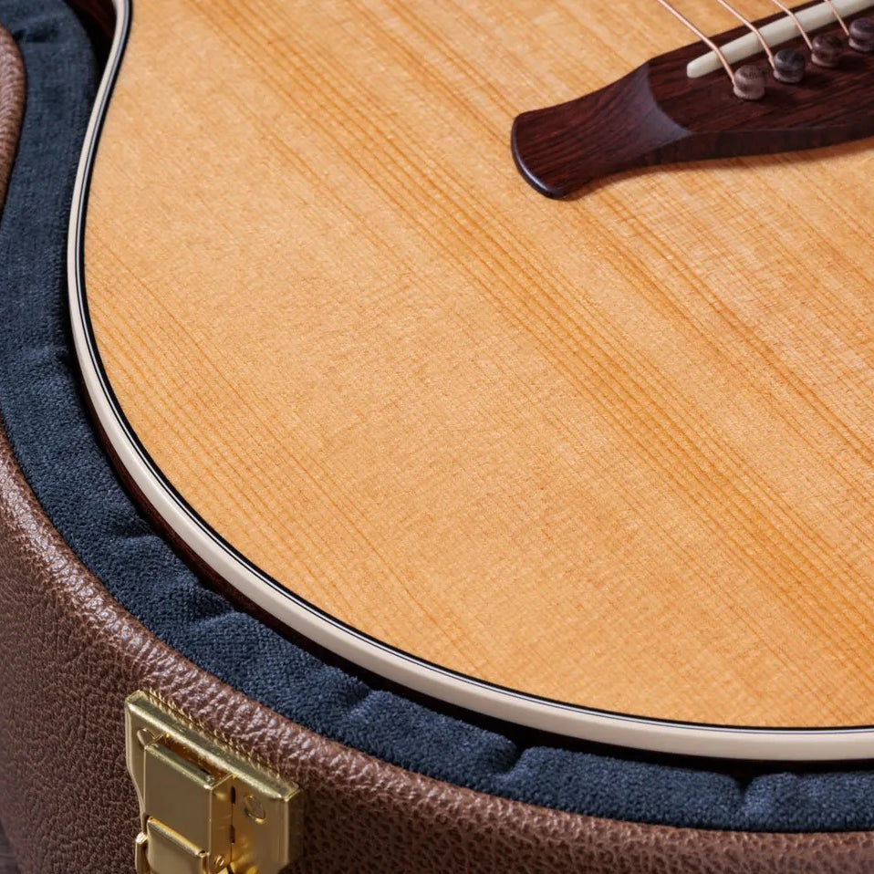 Đàn Guitar Acoustic Taylor Gold Label 714e