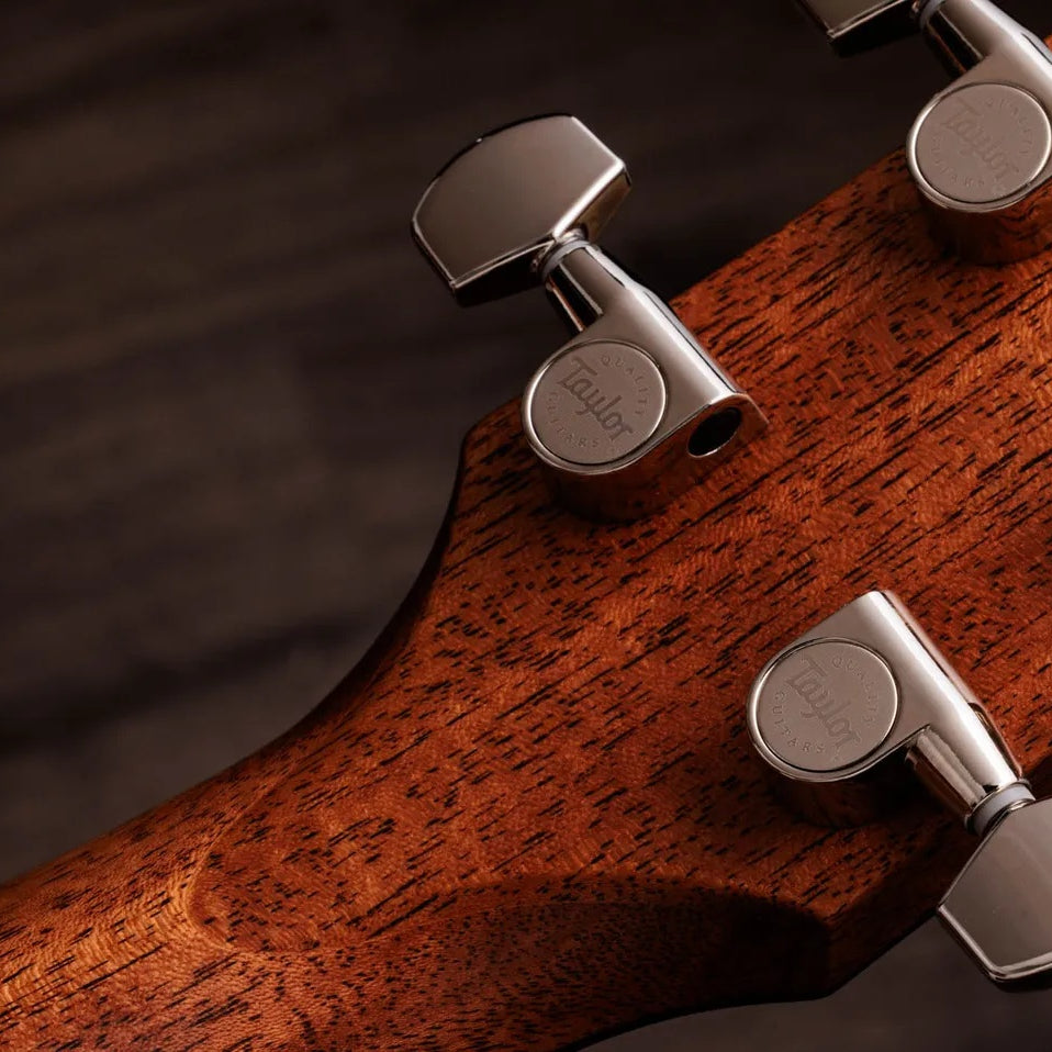 Đàn Guitar Acoustic Taylor Gold Label 714e