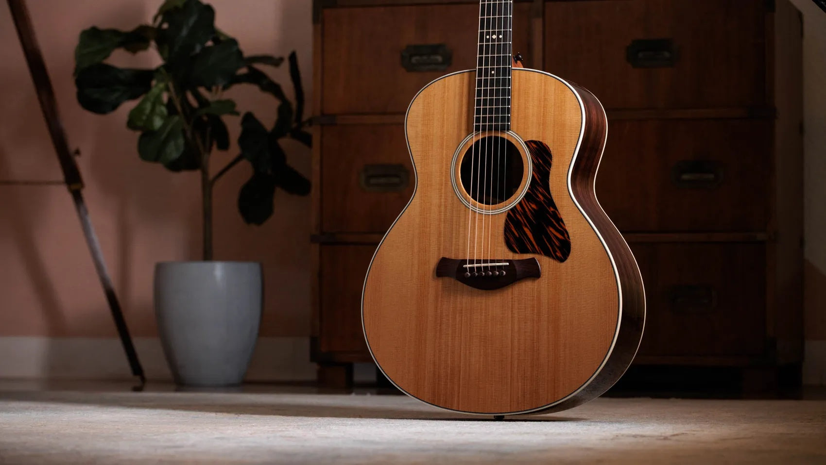 Đàn Guitar Acoustic Taylor Gold Label 714e