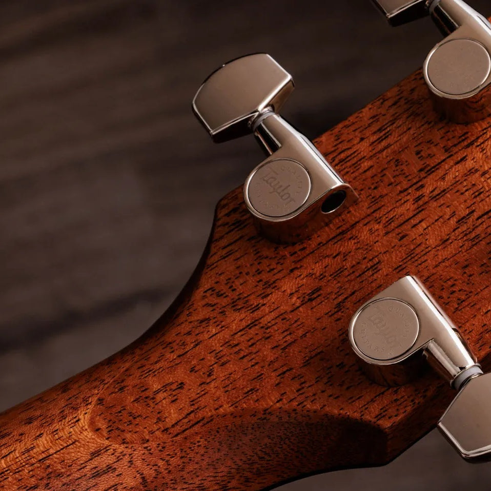 Đàn Guitar Acoustic Taylor Gold Label 714e