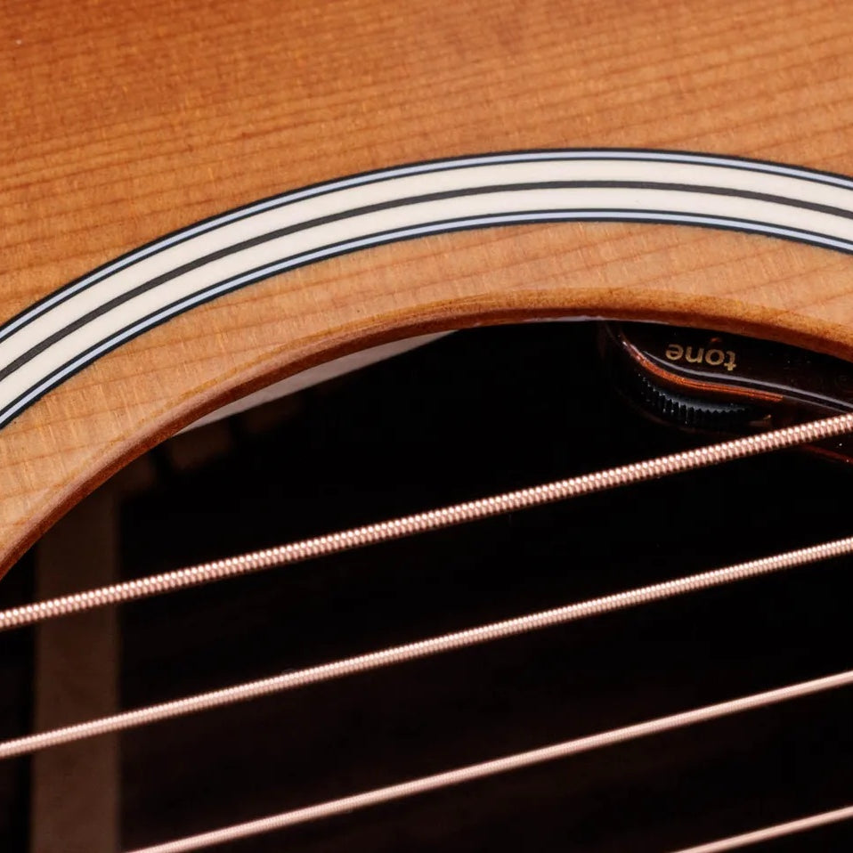 Đàn Guitar Acoustic Taylor Gold Label 714e