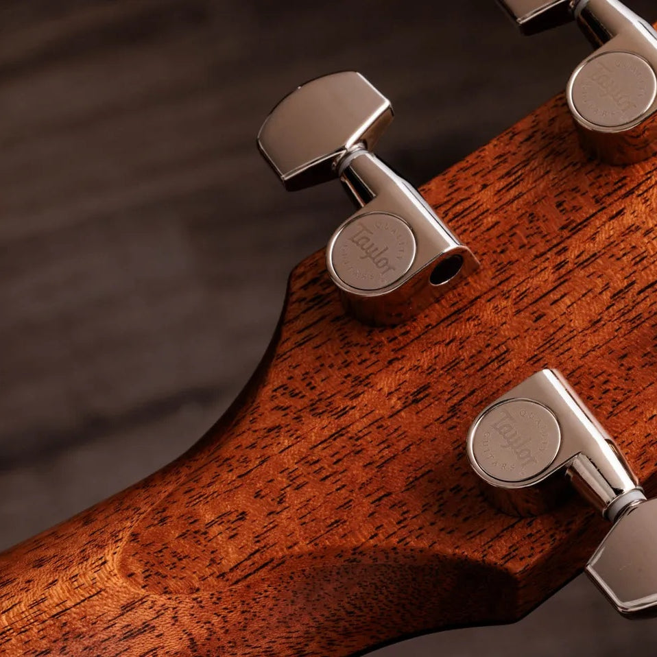 Đàn Guitar Acoustic Taylor Gold Label 714e