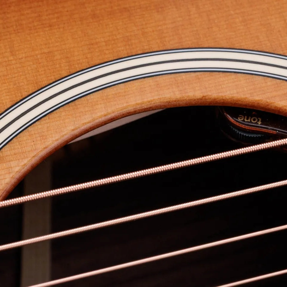 Đàn Guitar Acoustic Taylor Gold Label 714e