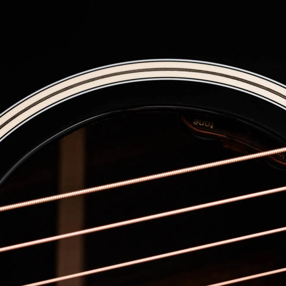 Đàn Guitar Acoustic Taylor Gold Label 717e