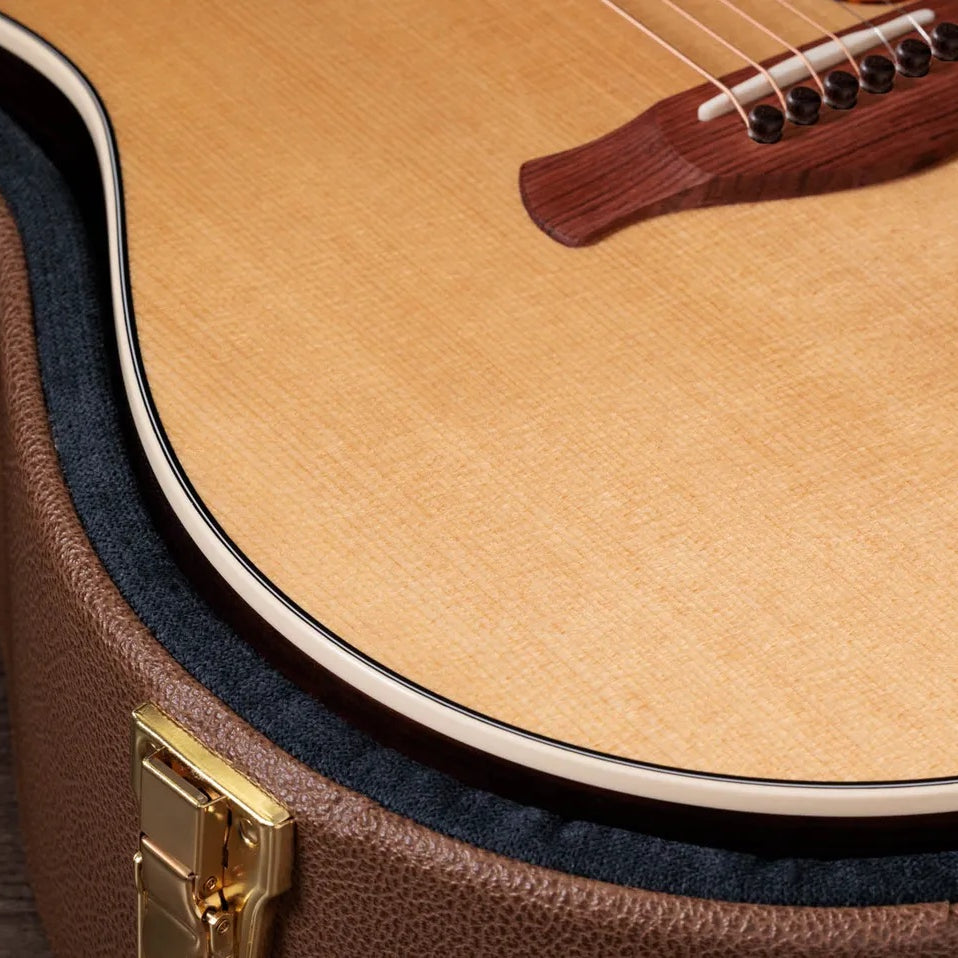 Đàn Guitar Acoustic Taylor Gold Label 717e