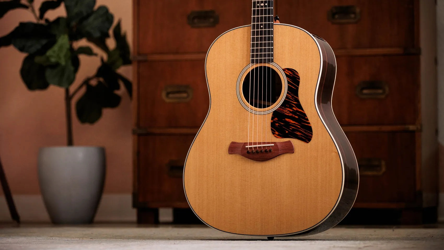 Đàn Guitar Acoustic Taylor Gold Label 717e