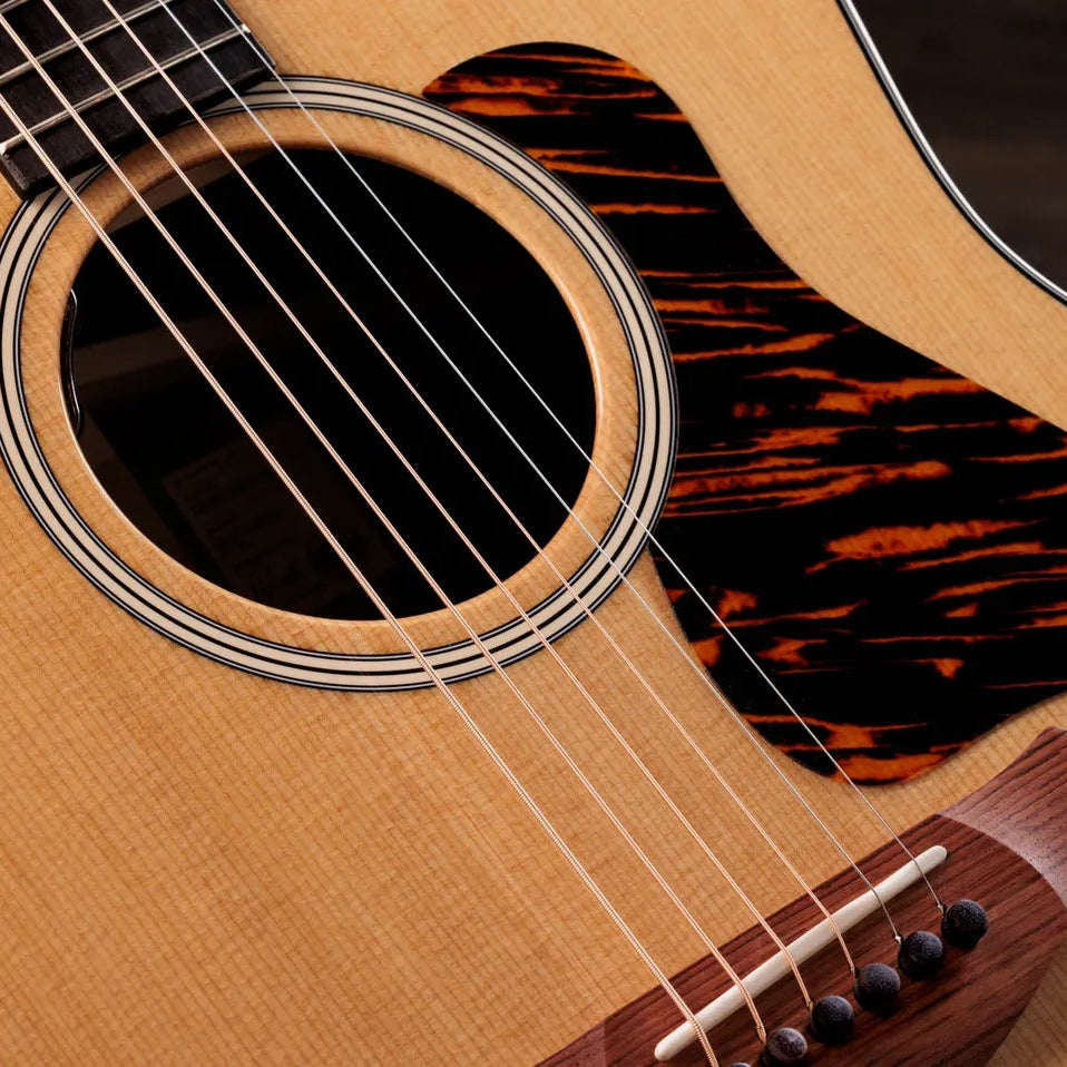 Đàn Guitar Acoustic Taylor Gold Label 717e